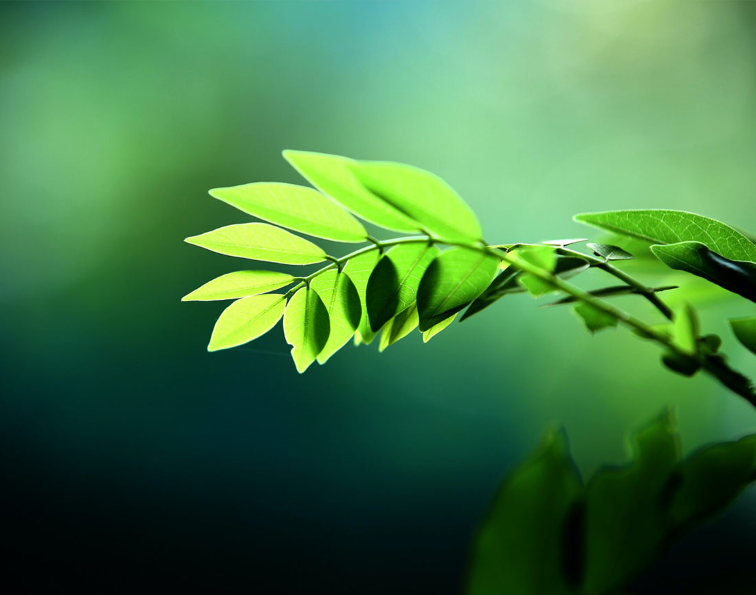 Environmental: Promoting Resource Efficiency